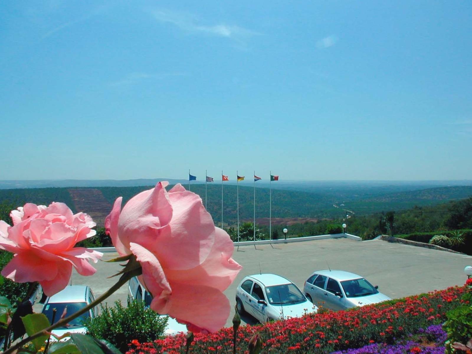 Alte Hotel Exterior foto